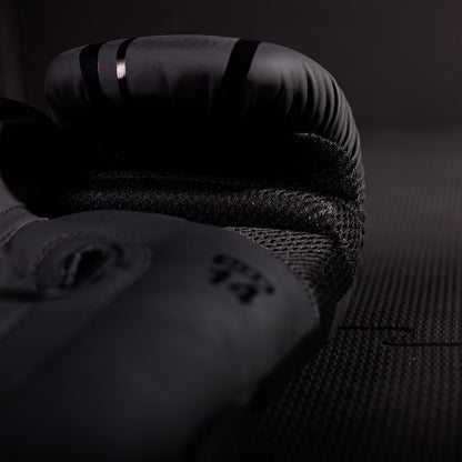 LNX Boxhandschuhe "Performance Pro" LEDER