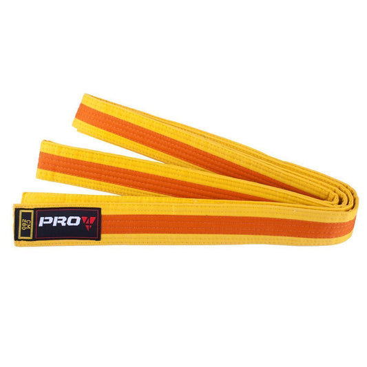 Pro4 Budo Gürtel Zweifarbig
