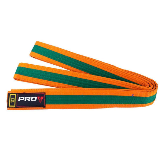 Pro4 Budo Gürtel Zweifarbig