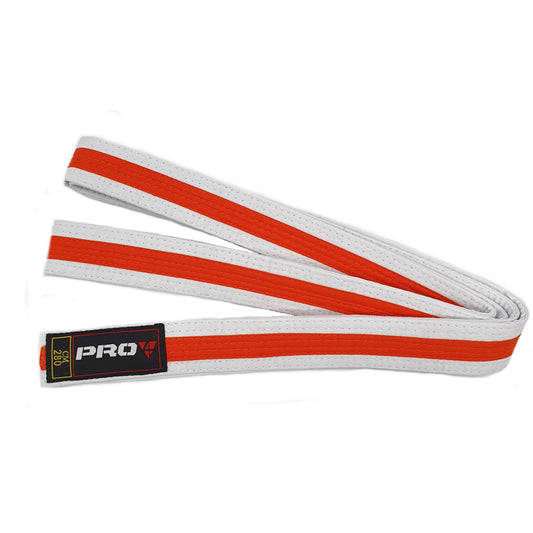 Pro4 Budo Gürtel Zweifarbig